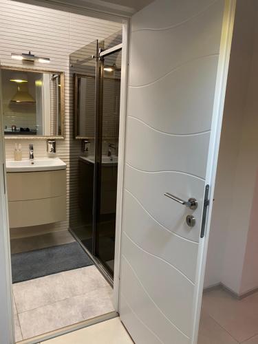 a bathroom with a shower and a sink at DD Studio Deluxe in Sibiu