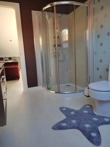 a bathroom with a shower and a toilet and a rug at Casa Marina in Ribeira