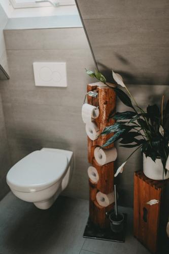 a bathroom with a toilet and toilet paper roll dispensers at Kultur Weingut Kästenburg in Ratsch an der Weinstraße