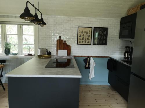 a kitchen with a counter and a blue and white wall at Smedjan cottage in Enköping