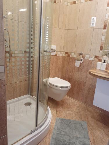 Kúpeľňa v ubytovaní Ivett apartmanház