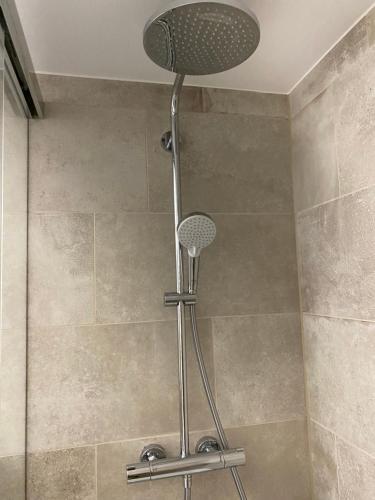 een douche met een douchekop in de badkamer bij Aegerta Alte Schreinerei in Tschiertschen