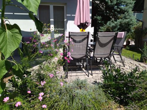 Zahrada ubytování Apartma Peter1a