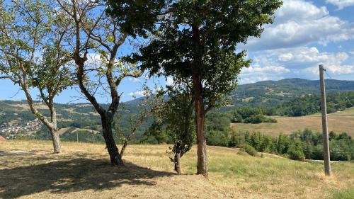 two trees in a field with mountains in the background at Agriturismo Il Casone in San Benedetto Val di Sambro