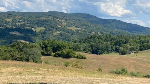 a view of a hill with trees in a field at Agriturismo Il Casone in San Benedetto Val di Sambro