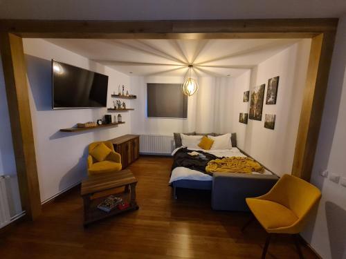 a bedroom with a bed and a tv and a chair at Old Bakery House in Sinaia