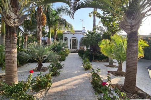 Fotografie z fotogalerie ubytování Tropical Paradise Villa in Torrevieja v destinaci Torrevieja
