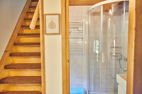 a bathroom with a shower and a staircase at Srčna, Tri Vile, a beautiful log cabin with amazing view in Podčetrtek