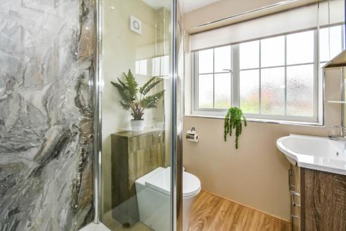 a bathroom with a shower and a toilet and a sink at Poets Corner in York