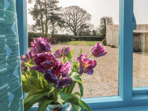 Foxglove Cottage photo 12