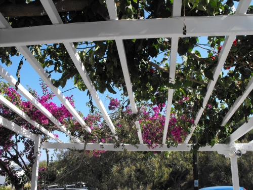 a white pergola with pink flowers hanging from it at Milos Bay Suites in Adamas