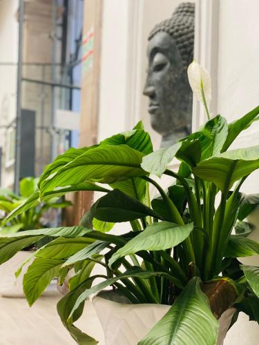 a plant in front of a statue of a head at Markee Hotel Boutique in Querétaro