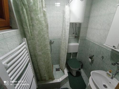 Koupelna v ubytování Vila Bliznakinja B