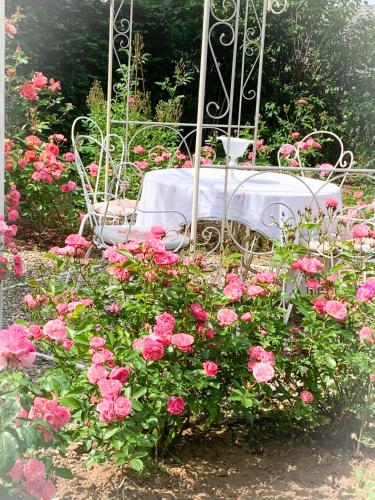 Ein Garten an der Unterkunft Isabelle's Rosegarden