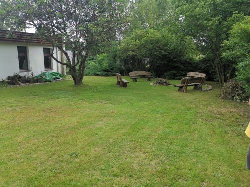a yard with two picnic tables and a tree at Ferienpark Stausee Quitzdorf in Kollm