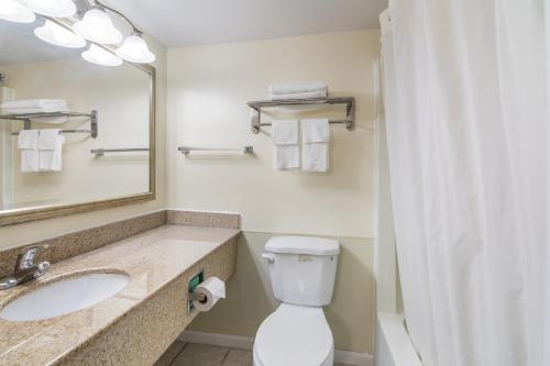 y baño con lavabo, aseo y espejo. en Rodeway Inn & Suites Weedsport NY en Weedsport
