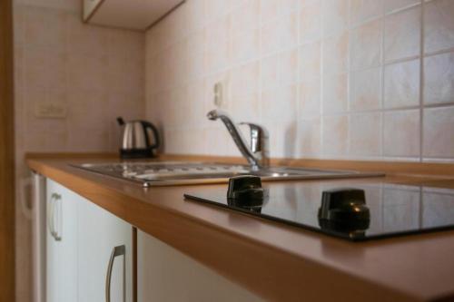 uma cozinha com um lavatório e uma bancada em House Vera em Baska Voda