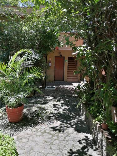 Jardín al aire libre en Posada Bugambilias