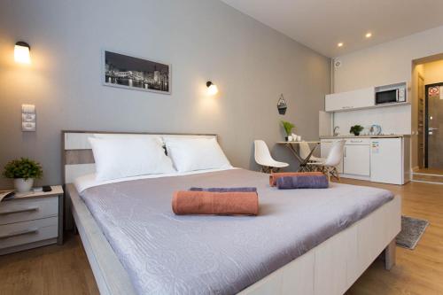 Ένα ή περισσότερα κρεβάτια σε δωμάτιο στο Modern studio beside metro Yaroslava Mudroho, Universytet - Chernyshevska str 95-7
