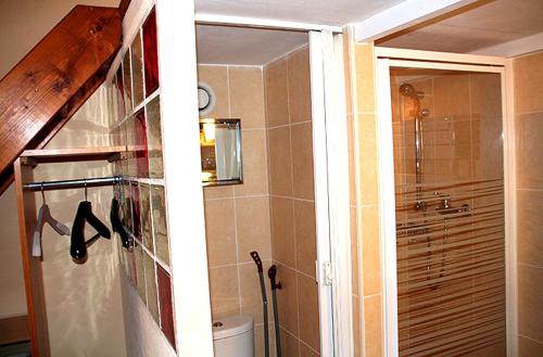 a bathroom with a shower and a toilet in it at Adorable Studette Nice Cessole in Nice