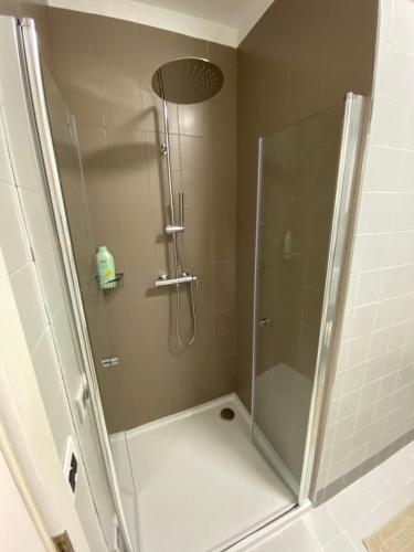 a shower with a glass door in a bathroom at Sky Garden & Wellness R. in Belluno
