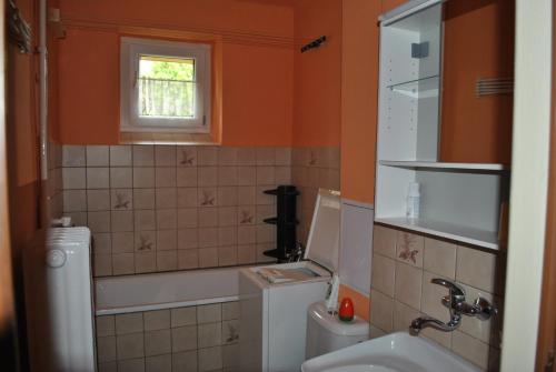 Koupelna v ubytování Apartmán Viktorie