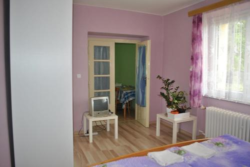 Postel nebo postele na pokoji v ubytování Apartmán Viktorie