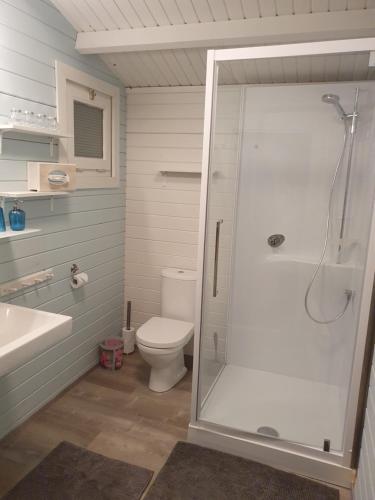 a bathroom with a shower and a toilet at Chalet de la Sablière in Amougies
