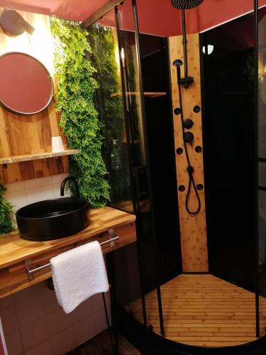 une salle de bain avec douche et lavabo dans l'établissement le Ricordeau, à Domagné