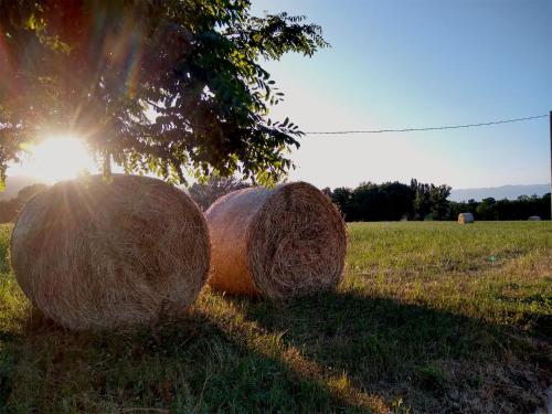 two large hay bales sitting in a field at Le Piracante in Caiazzo