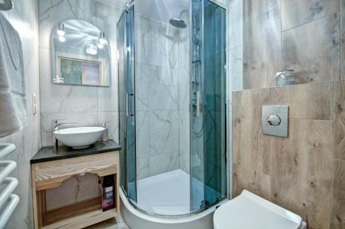 a bathroom with a shower and a toilet and a sink at Jędroskowe Chatki in Witów