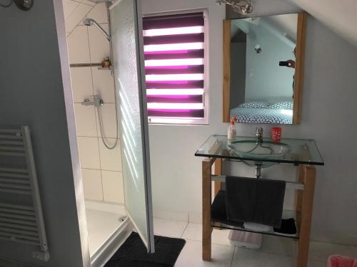 La salle de bains est pourvue d'un lavabo, d'un miroir et d'une douche. dans l'établissement MAISON DE VILLE Avec jardin et Parking, à Blois