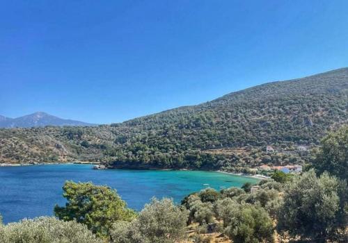 Gallery image of Athina Studio Apartments in Kerveli