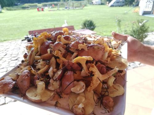a person holding a plate of food on a table at Kemping i Domki nad stawem in Harsz