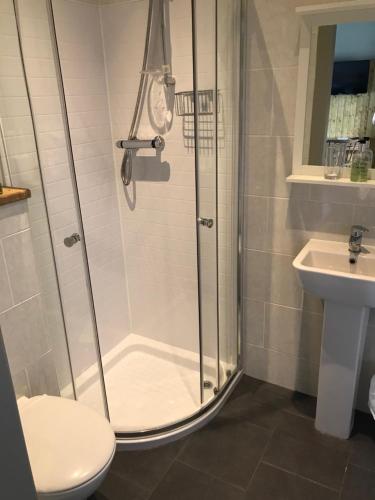 een badkamer met een douche, een toilet en een wastafel bij The Cross Keys in Kippen in Kippen