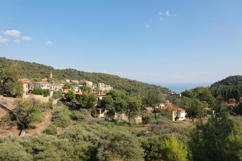 a group of houses on a hill with trees at Perlacia Hotel Adatepe in Adatepe