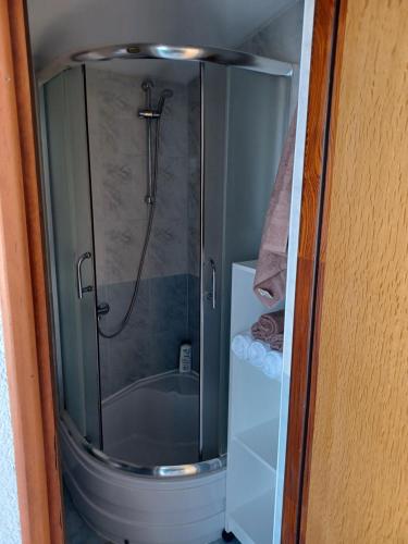 a shower with a glass door in a bathroom at Apartmani Jakovljevic in Murter