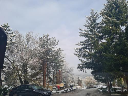 a car parked on the side of a road with trees at Туристически дом Кайлъка in Pleven