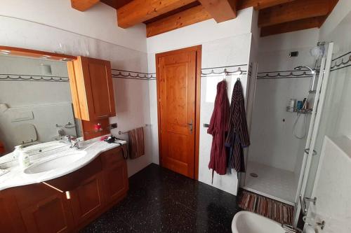La salle de bains est pourvue d'un lavabo, d'une douche et de toilettes. dans l'établissement fantastica villa fra le Alpi valtellinesi, à Tresivio