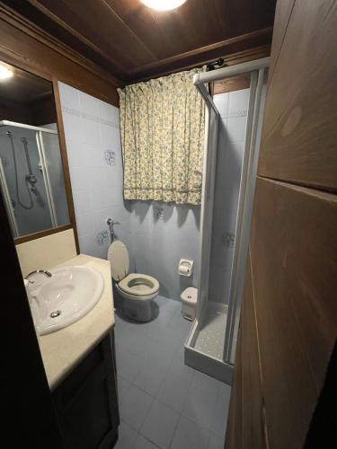 y baño con aseo, lavabo y ducha. en Appartamento Paradiso Cortina, en Cortina dʼAmpezzo