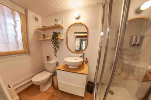 ein Bad mit einem WC, einem Waschbecken und einer Dusche in der Unterkunft Charmant studio/T2 au calme avec jardin et parking in Fos-sur-Mer