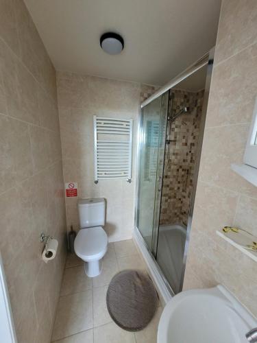 a bathroom with a toilet and a shower and a sink at Dolphin House in Preesall