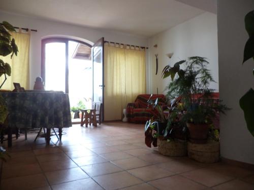 a living room with potted plants and a couch at Casa do João in Barão de São João