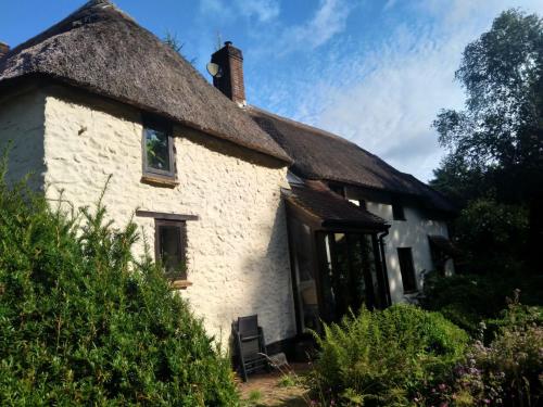 an old white house with a thatched roof at The woodstore in Dunkeswell