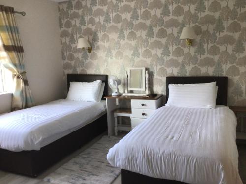 a bedroom with two beds and a mirror on the wall at Orchard Grove in Bagenalstown