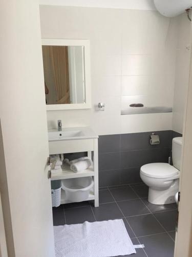 a bathroom with a toilet and a sink and a mirror at Rezidenca Primavera Apartments in Draç