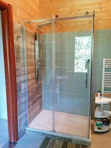 a shower with a glass door in a bathroom at Agriturismo bio Apipoli in Lucino