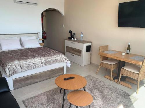 SOLARIS PANORAMIC studio vue mer
