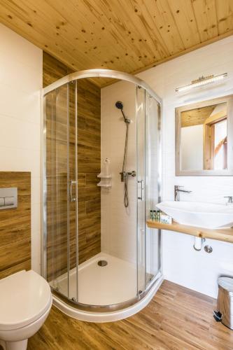 a bathroom with a shower and a toilet and a sink at Dom Wczasowy Tatrzański in Szaflary