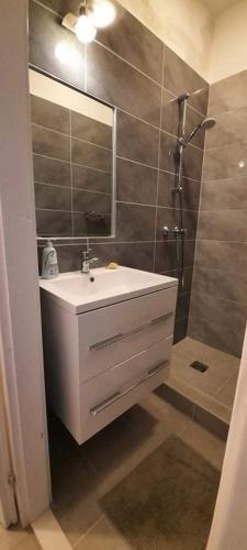 a bathroom with a sink and a shower at Mérey Apartment in Szeged